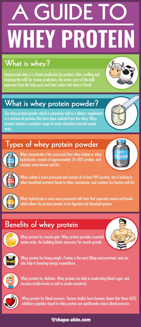 Your Expert Guide To Whey Protein .